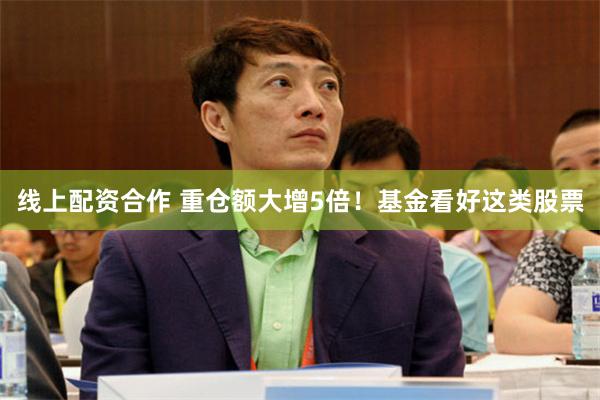 线上配资合作 重仓额大增5倍！基金看好这类股票