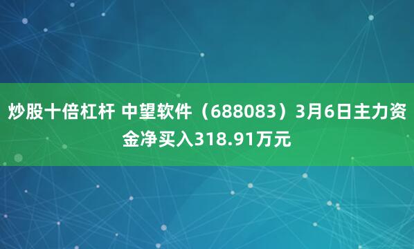 炒股十倍杠杆 中望软件（688083）3月6日主力资金净买入318.91万元