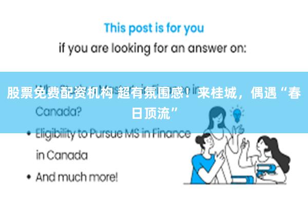 股票免费配资机构 超有氛围感！来桂城，偶遇“春日顶流”
