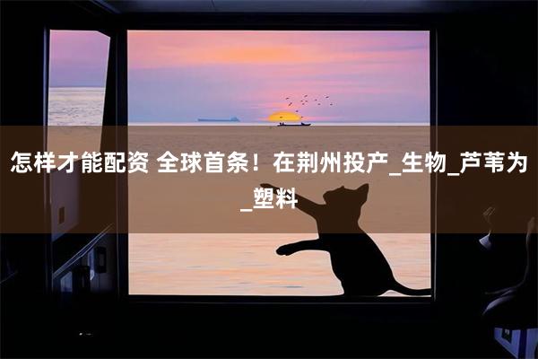 怎样才能配资 全球首条！在荆州投产_生物_芦苇为_塑料